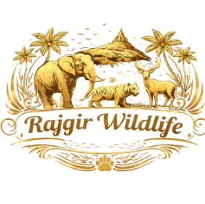 Rajgir Wildlife logo