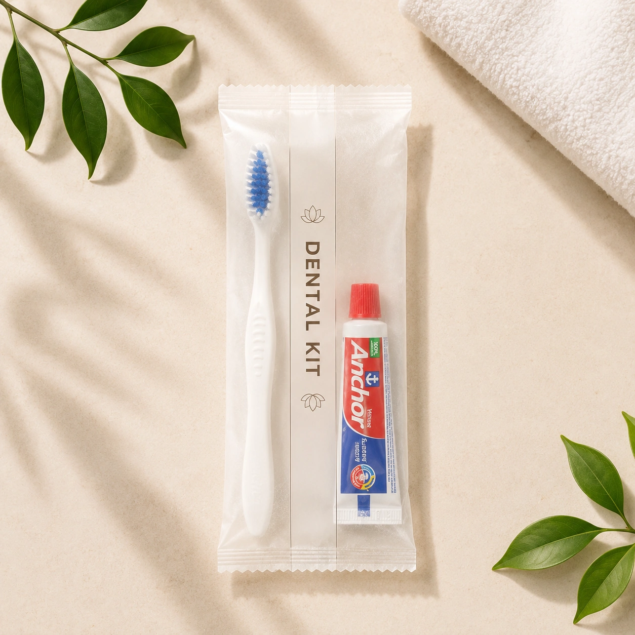 Dental Kit (Brush + Paste)